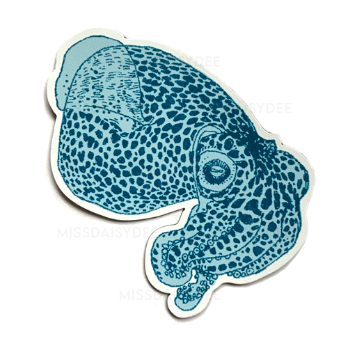 Bobtail Squid Magnets