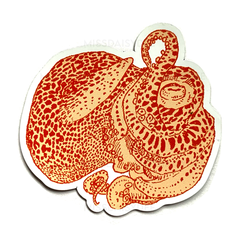 Bobtail Squid Magnets